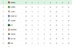 雷速体育电脑版官网下载-关于天津队压倒对手，鏖战白热化的信息