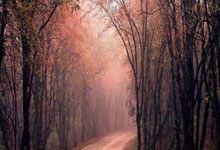 雷速体育电脑版官网下载-德国完胜韩国，迪马利亚一己之力扛起全队