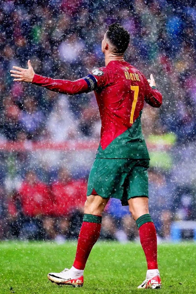 比利时队碾压葡萄牙，挺进欧洲杯四强的简单介绍